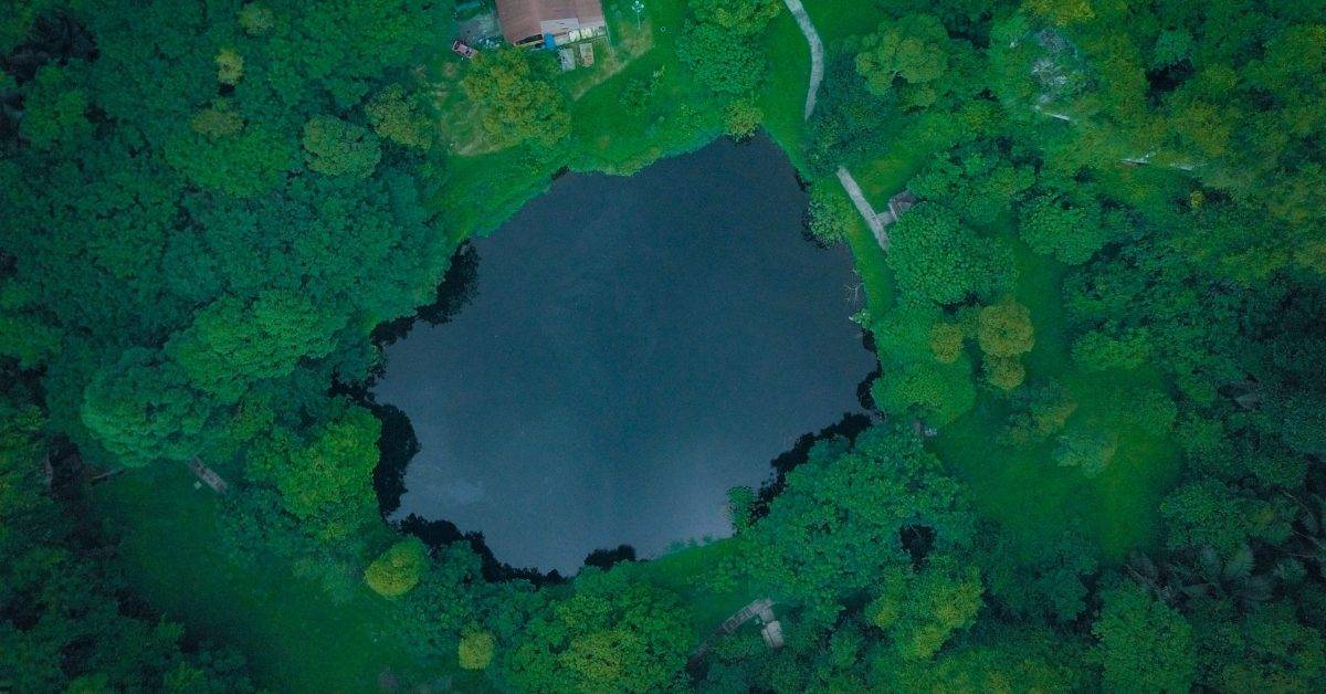 aerial photo of a body of water between trees