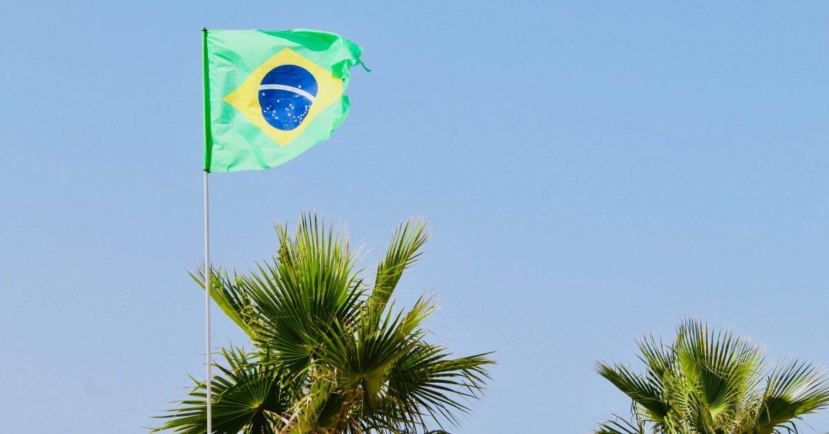 Brazil flag beside green palm trees
