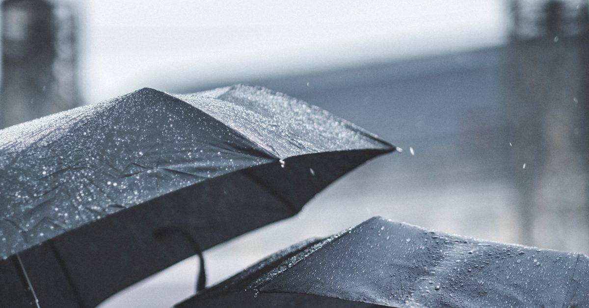 shallow focus photography of black umbrellas
