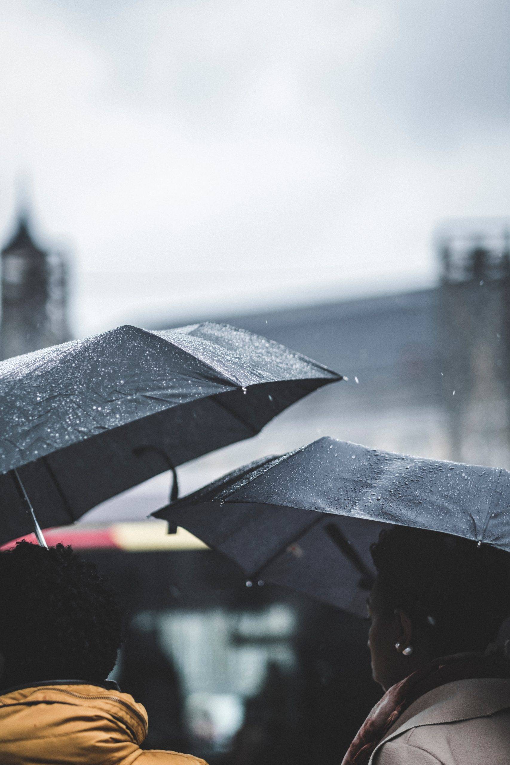 shallow focus photography of black umbrellas