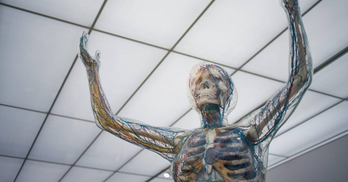 human body sculpture