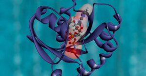 A fehérjék – felépítés, típusok, biológiai jelentőség