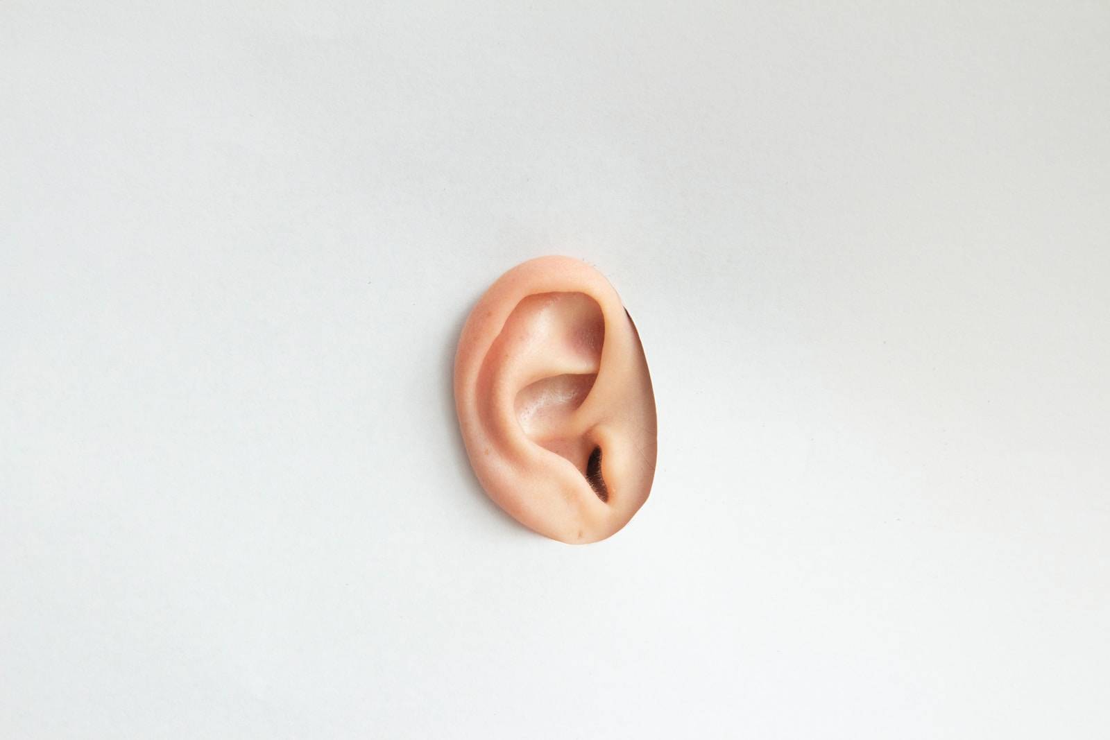 Az ember hallószerve és a hallás folyamata