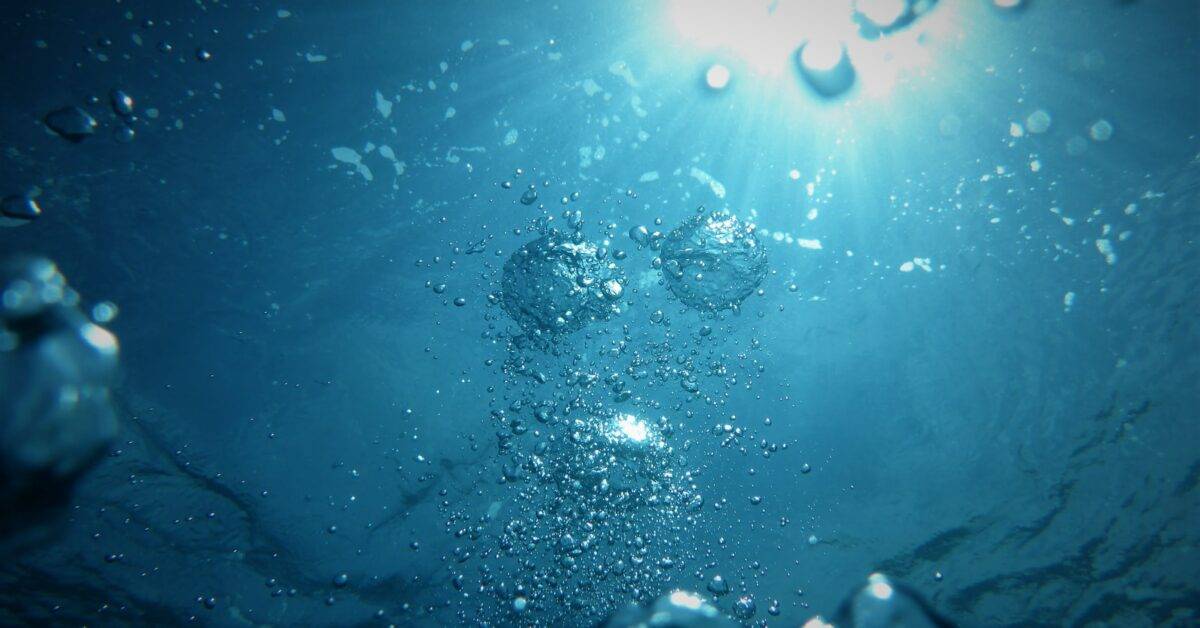 bubbles going upwards on a body of water