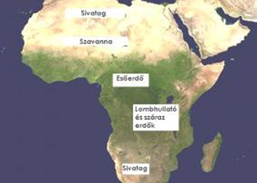 Afrika éghajlata és természetes élővilága